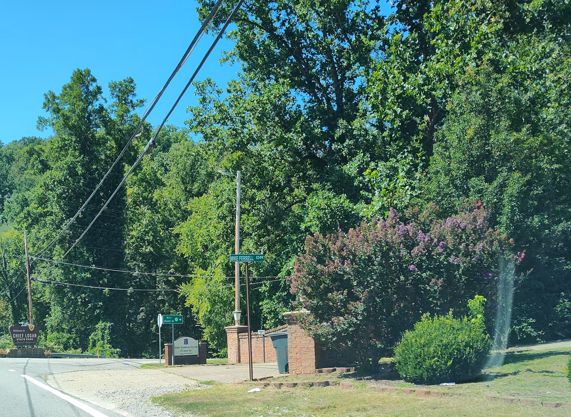 Tree-lined street corner with signs and brick entry feature beside a wooded area
