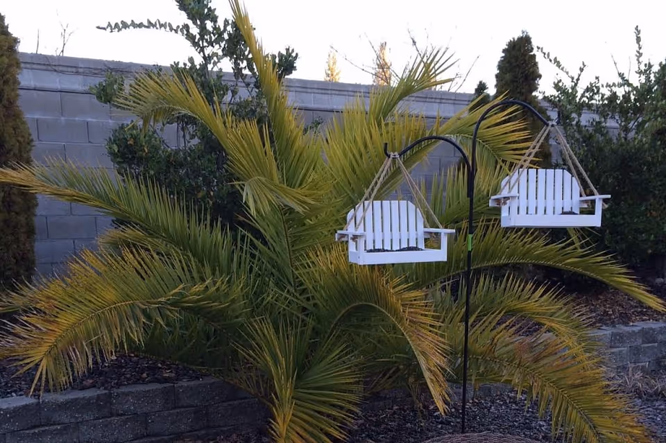 Outdoor garden area with a large palm plant and two small white wooden swing seats hanging from a black metal stand, surrounded by other greenery and a stone wall in the background.