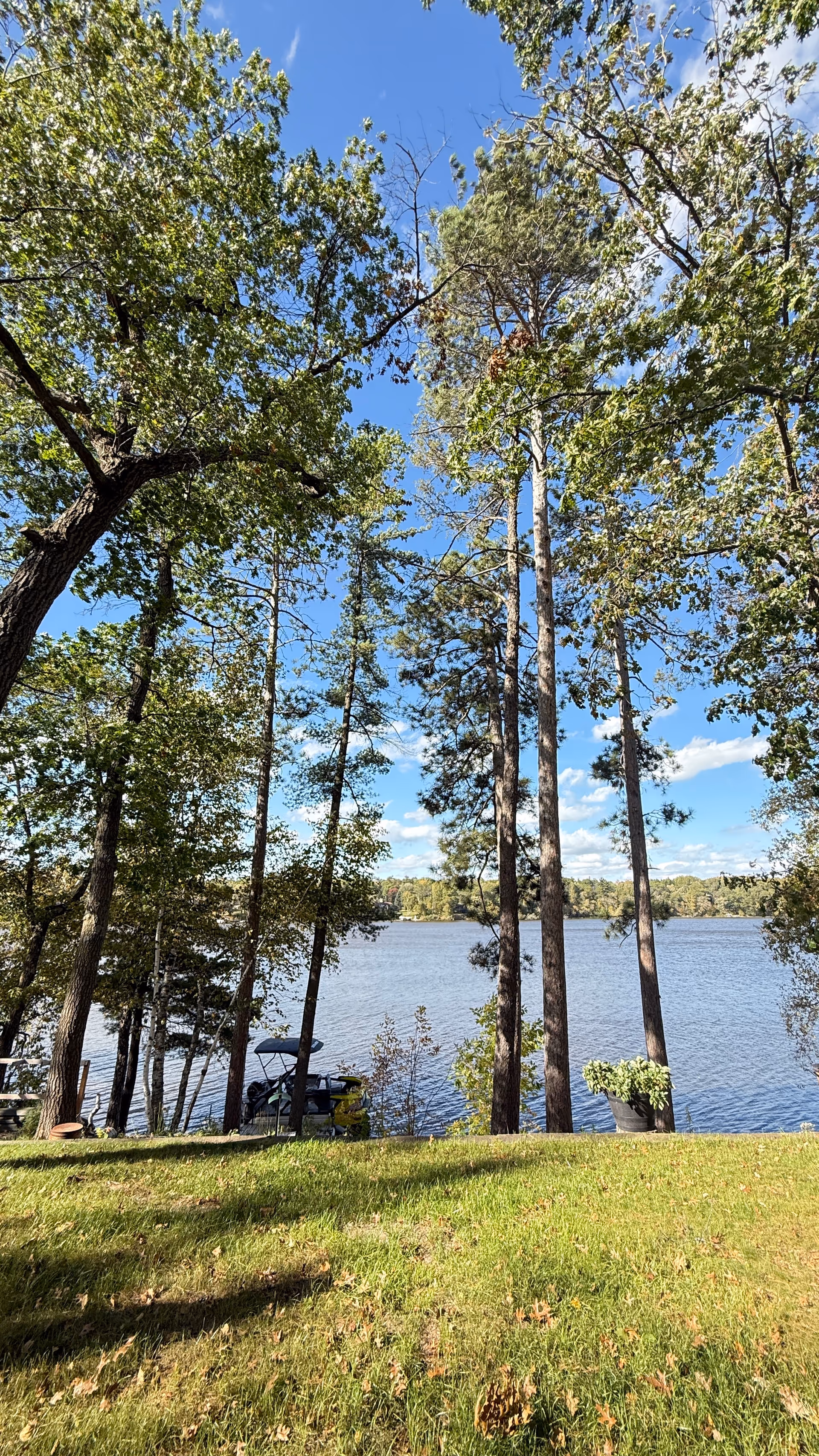 Lawn area with trees overlooking a lake and outdoor chairs by the water.