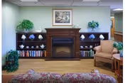 Living room with a fireplace, built-in shelves, plants, framed art, and seating.