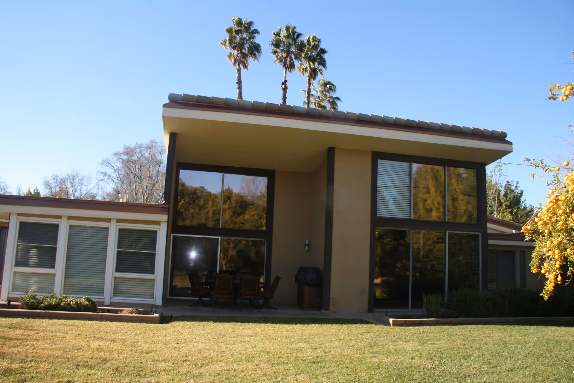 Mid-century modern single-story building exterior with large floor-to-ceiling windows, a covered patio with chairs, a manicured lawn, and palm trees in the background.