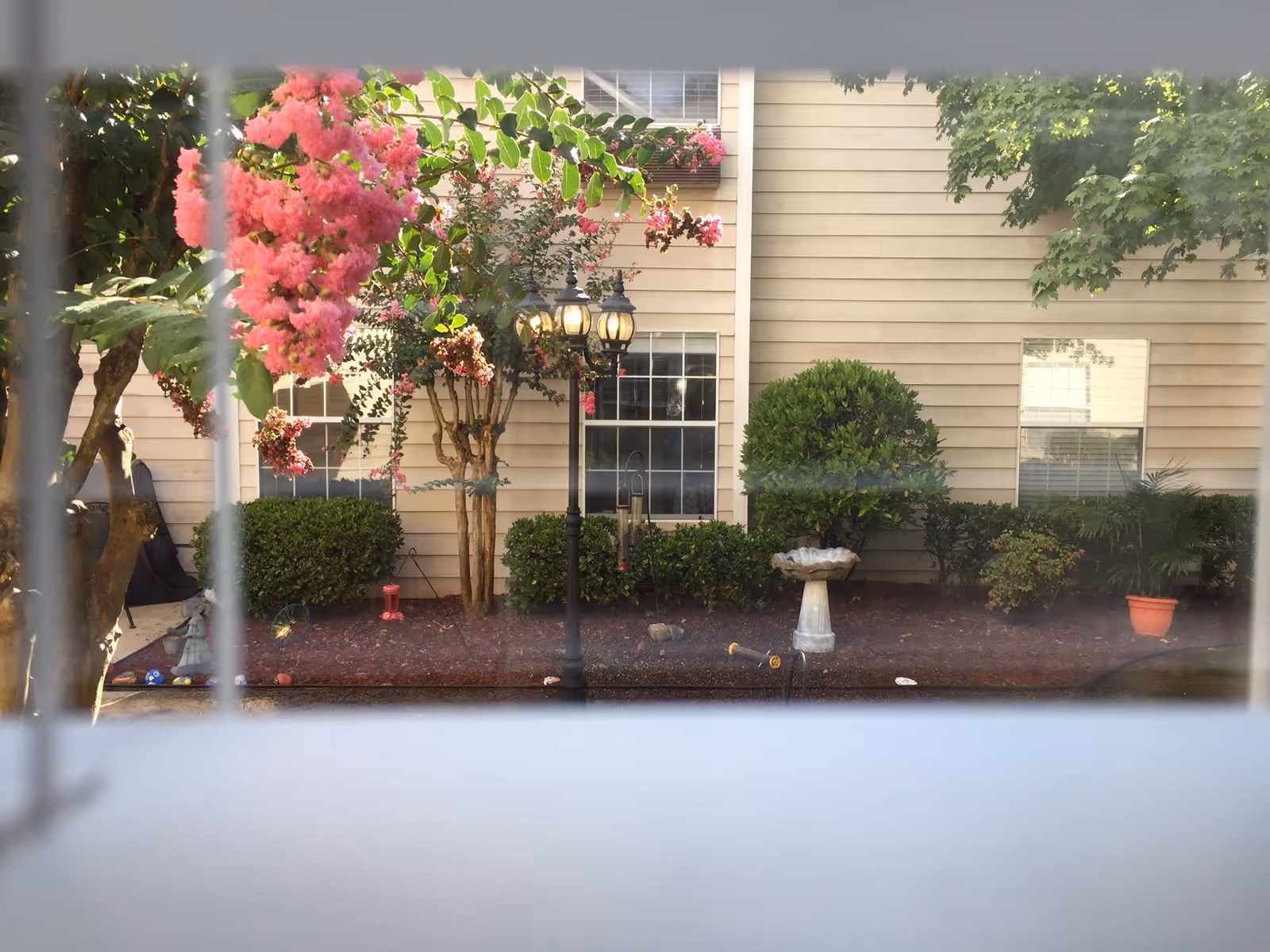 View through a window of a courtyard with a pink flowering tree, lamp post, birdbath, and beige building siding.