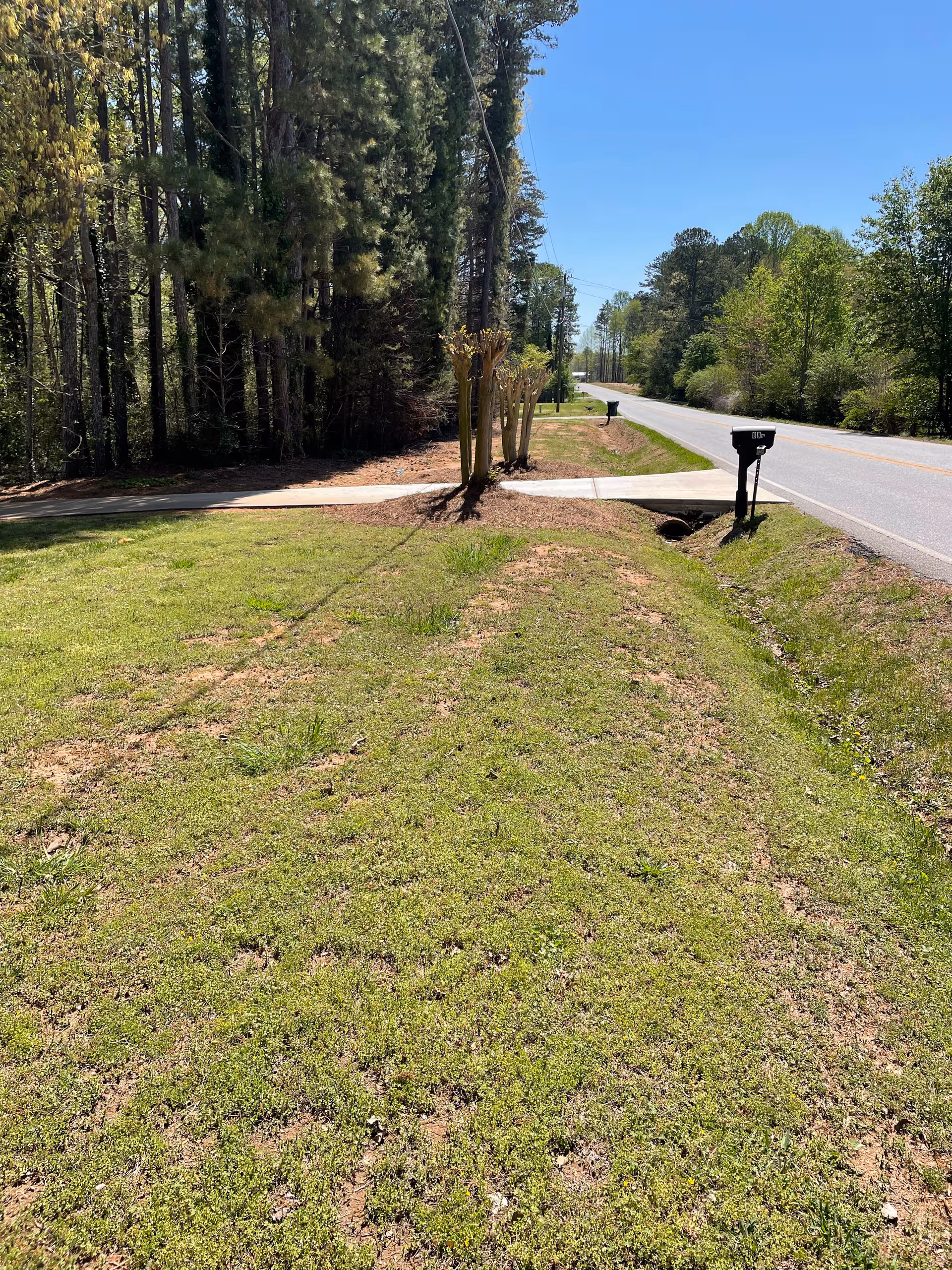 Sunlit grassy roadside with a sidewalk, trees, and a mailbox along a rural street.
