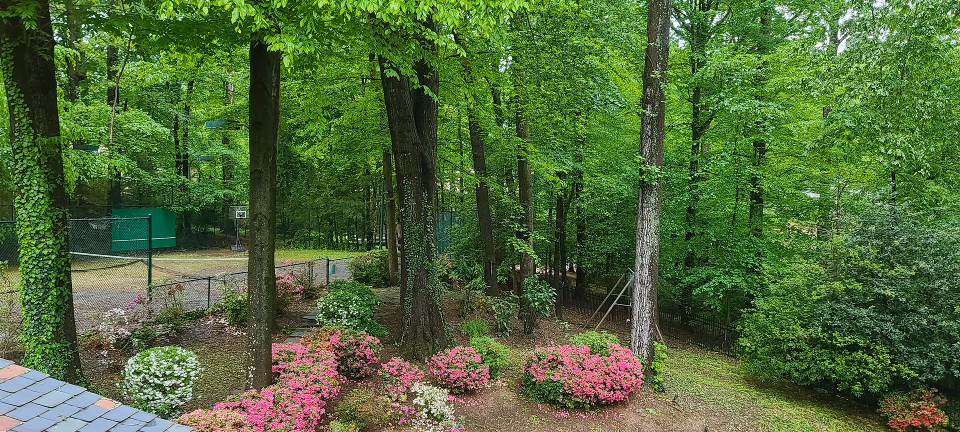 Lush green trees surround a manicured garden with colorful flowering shrubs and a fence.