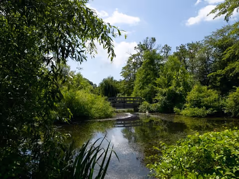 A tranquil pond surrounded by trees and a wooden footbridge in lush greenery.