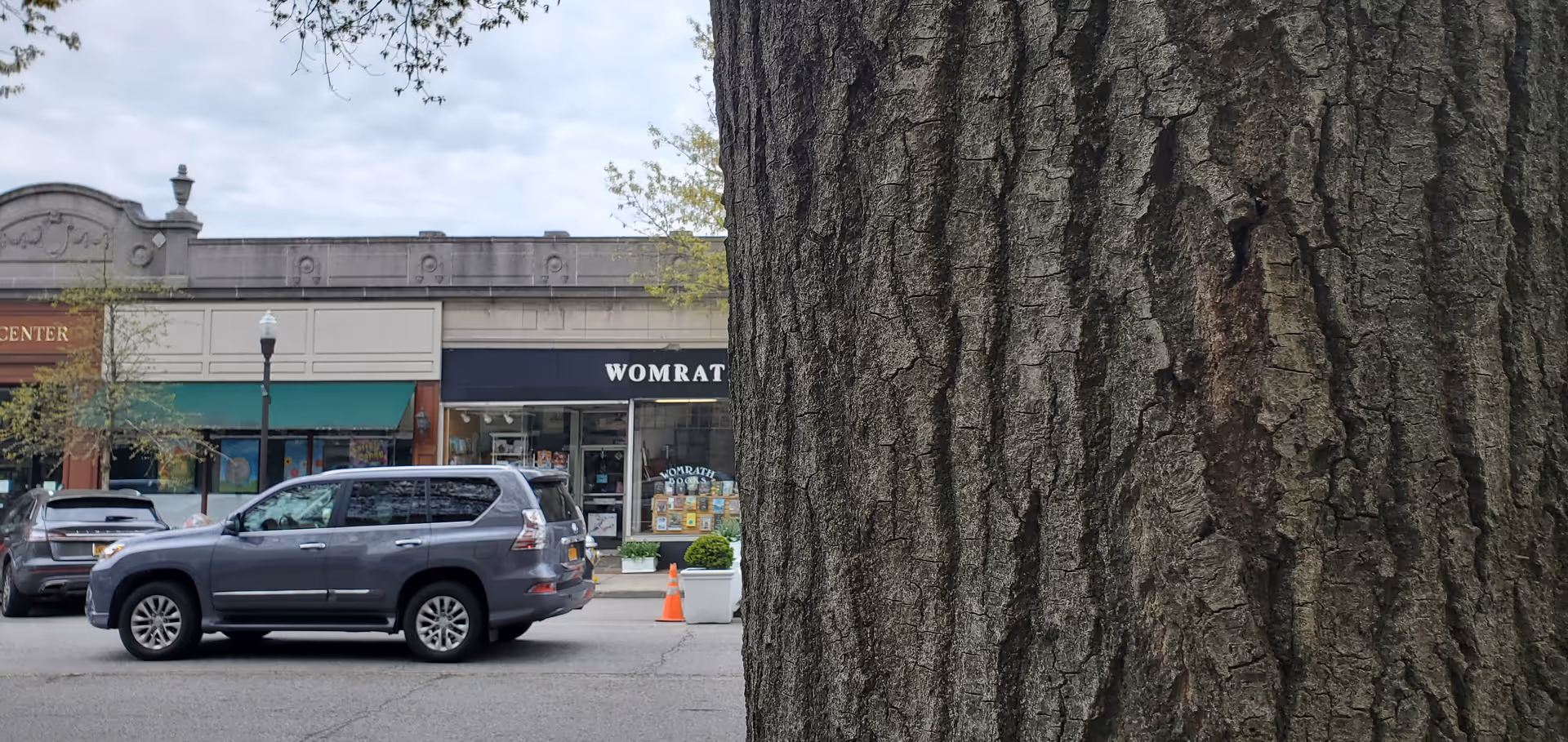 Street view of a storefront strip with parked SUV and a large tree trunk in foreground.