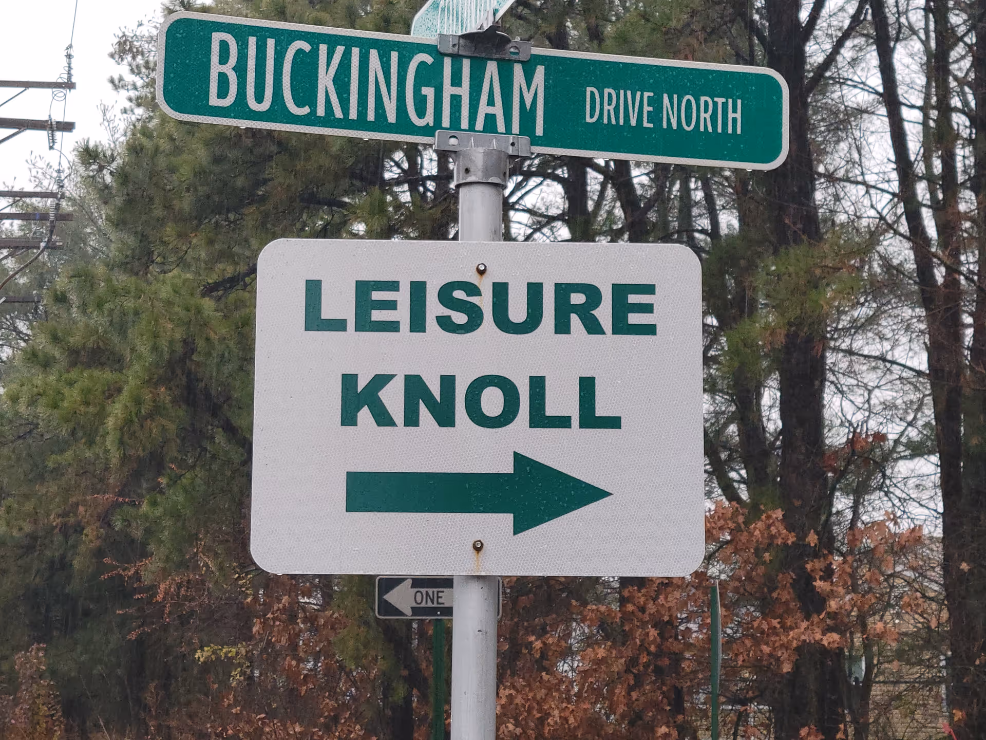 Green Buckingham Drive North sign beside white Leisure Knoll directional sign among trees.