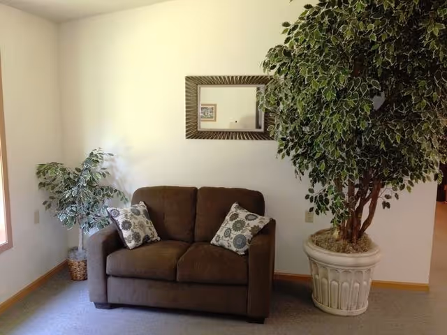A cozy living room corner with a brown sofa, pillows, and a large potted plant.