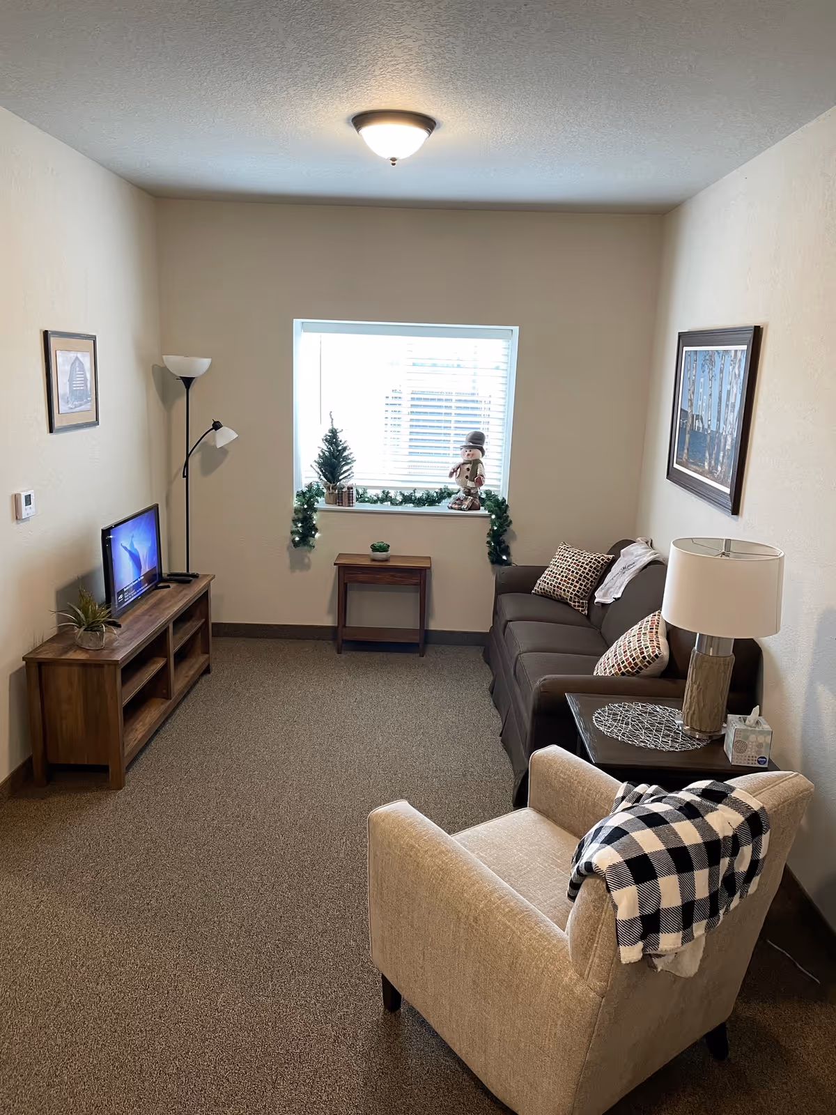 Cozy senior living living room with sofa, armchair, TV, and holiday decor.