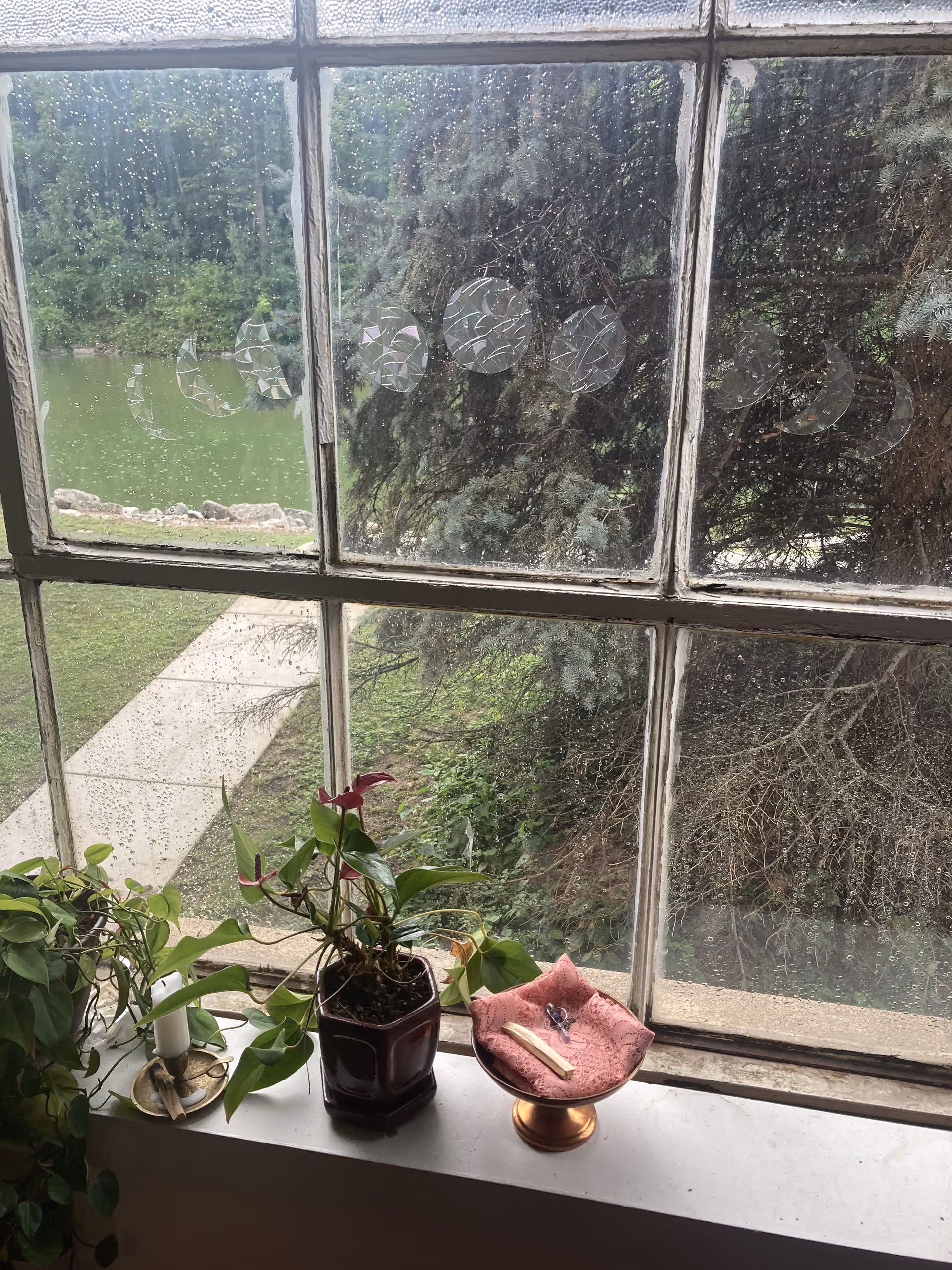 A windowsill with potted plants and a decorative dish overlooks a green outdoor area.
