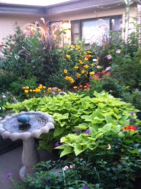 Lush courtyard garden with a stone fountain and flowering plants beside a building.