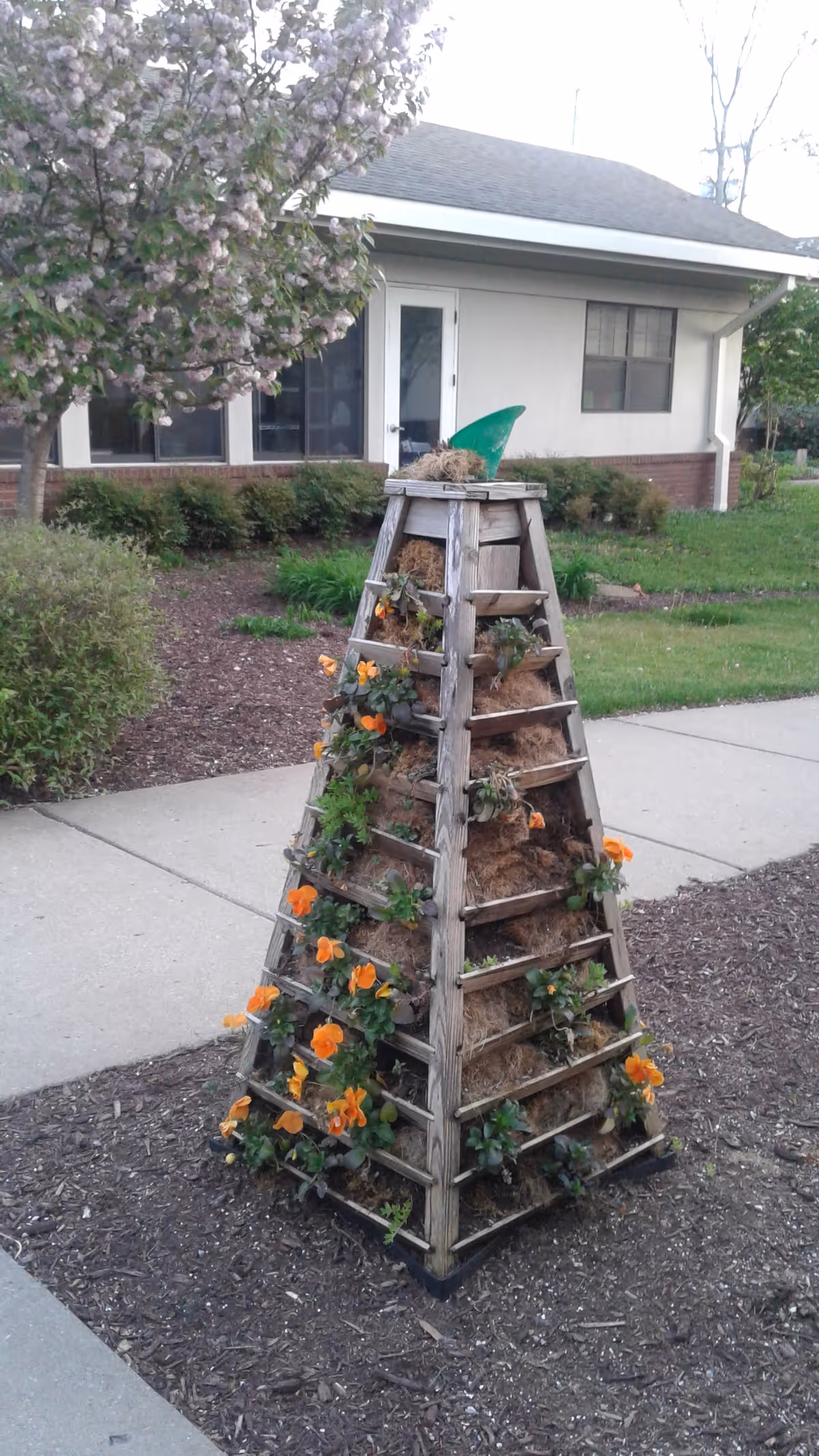 A tall wooden flower planter with orange blooms sits on a sidewalk by a building.