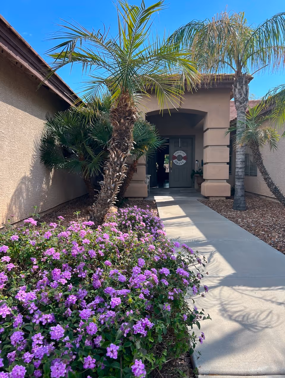 Concrete walkway leading to the front entrance of a stucco building lined with palm trees and a bed of purple flowers.