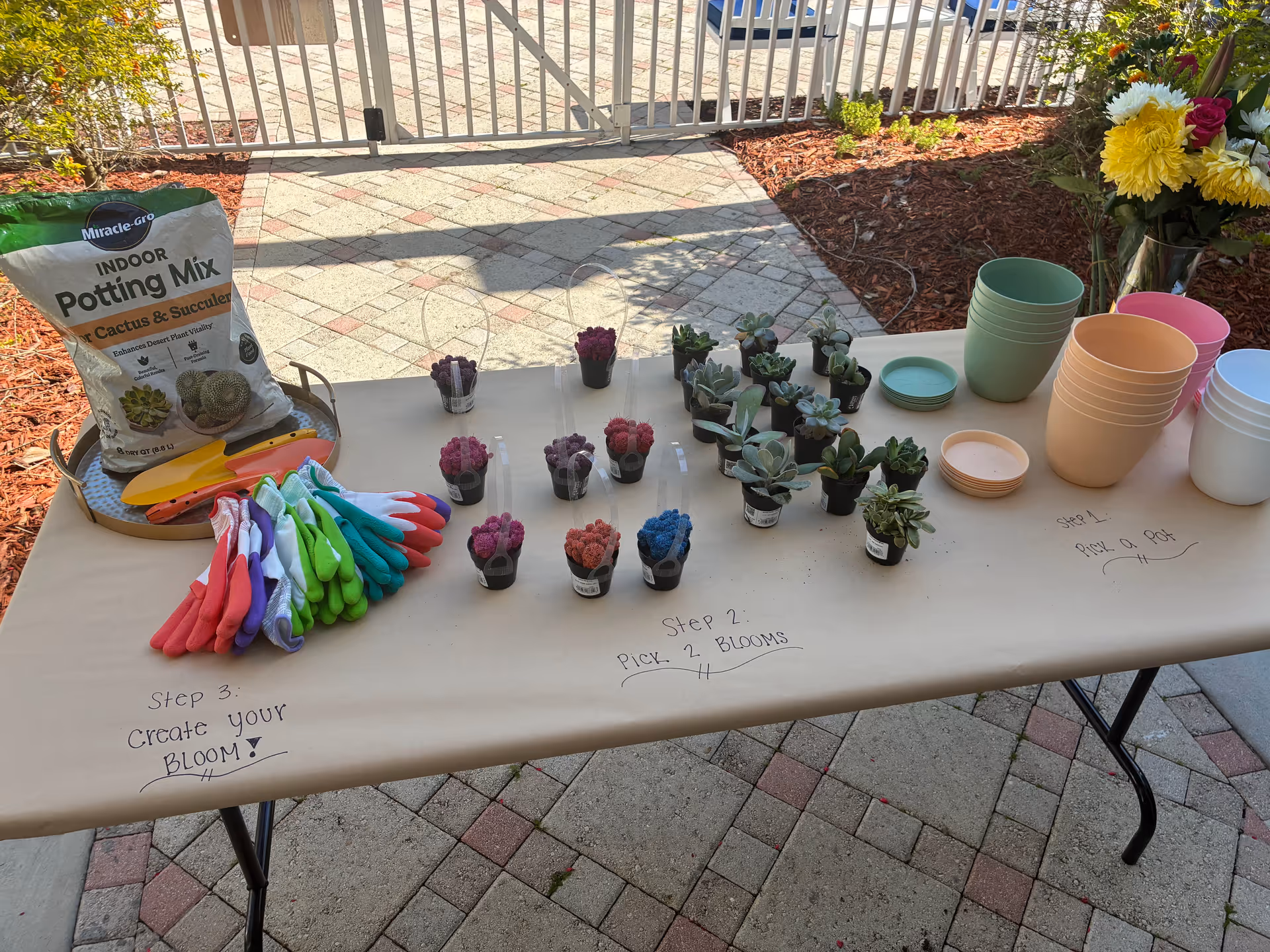 Outdoor table with small potted succulents, gardening supplies and labeled steps.