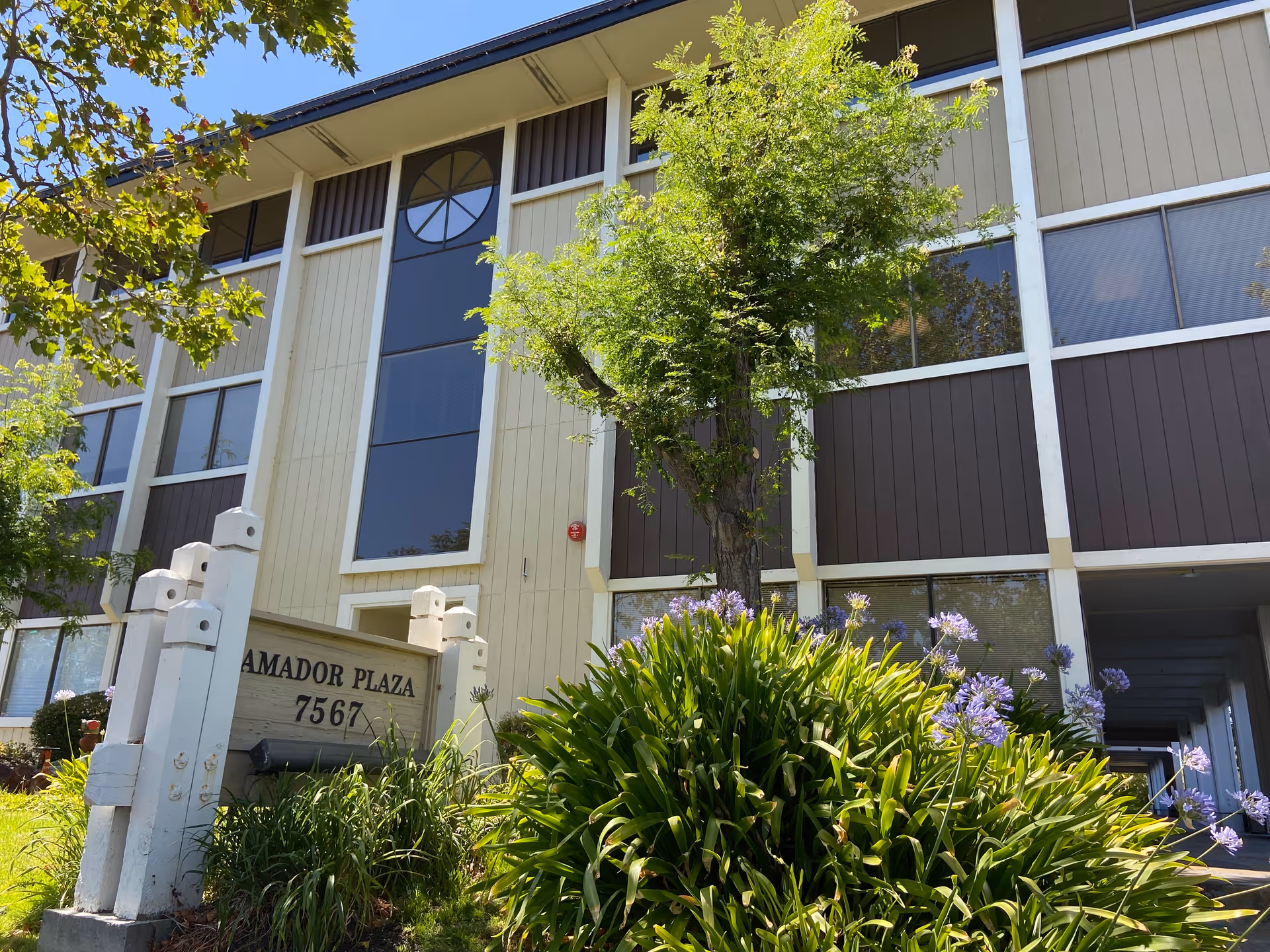 Exterior view of a senior living building with an Amador Plaza sign and landscaping.