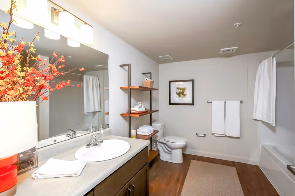 Well-lit modern bathroom with a sink vanity and mirror, open shelving, toilet, and bathtub with a shower curtain.