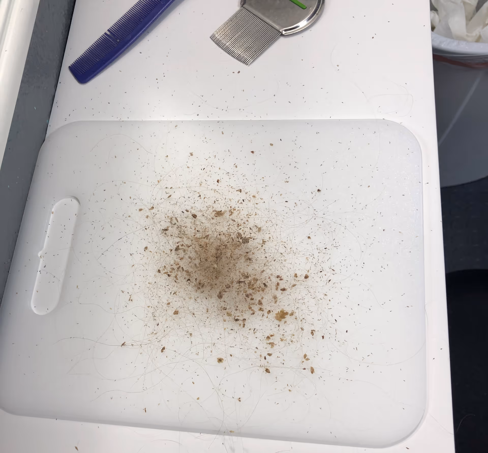 White grooming counter with scattered hair clippings, a blue comb, and a metal comb.