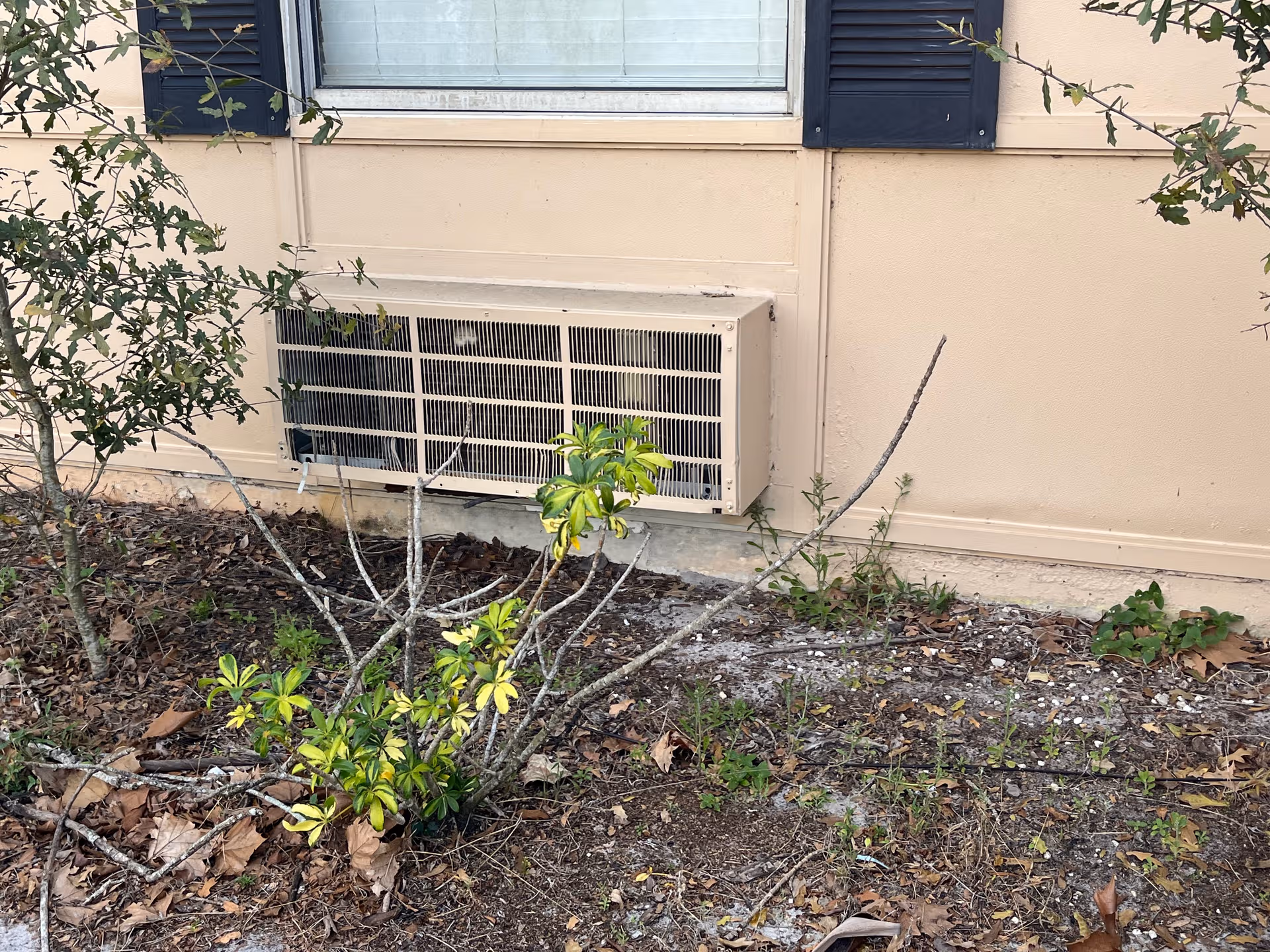 Exterior wall with an outdoor AC unit and surrounding shrubs.
