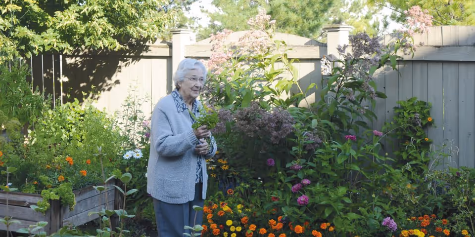 An older woman standing in a colorful garden holding freshly picked flowers in front of a wooden fence.