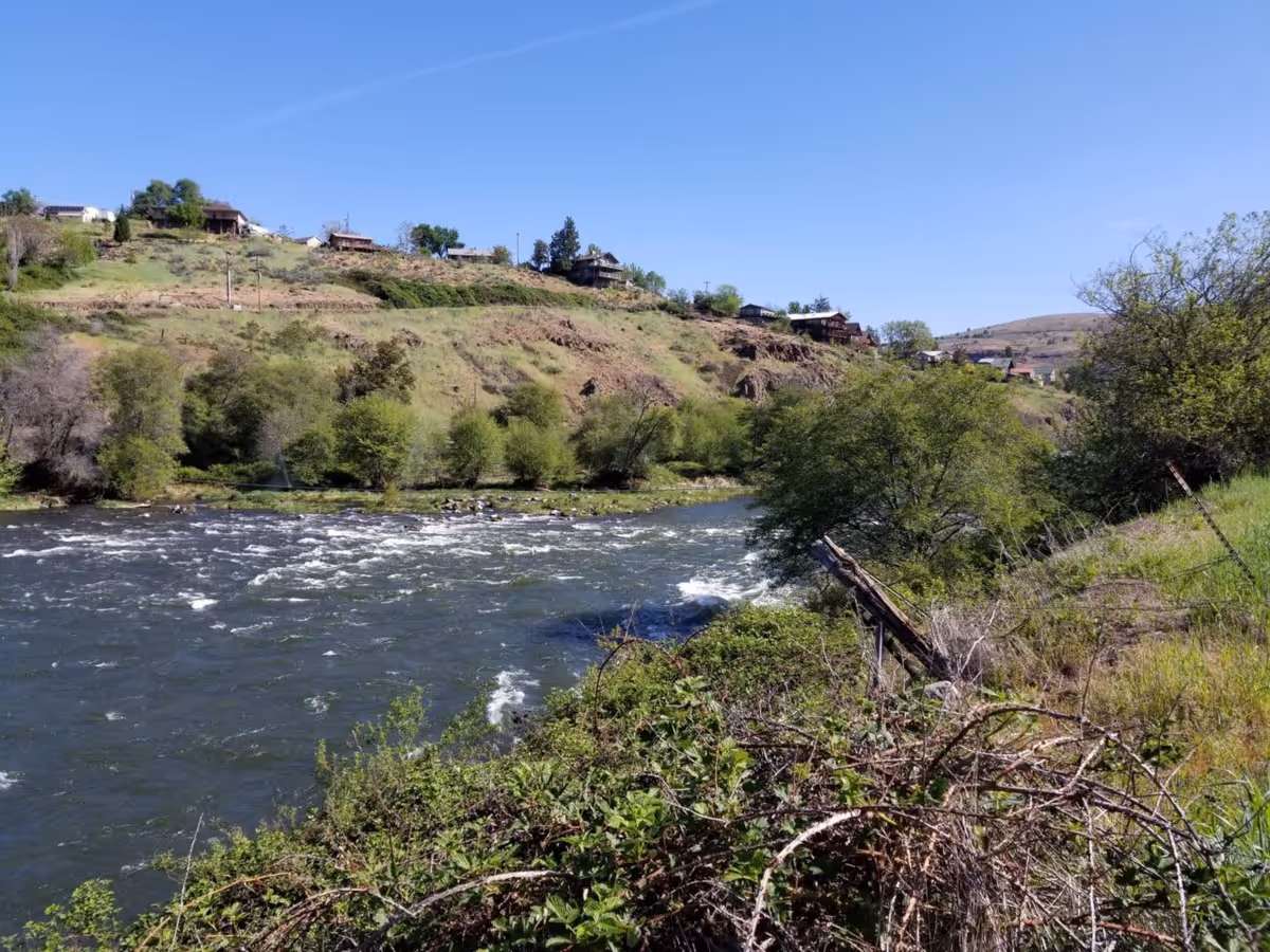 A river flowing past a grassy, tree-lined hillside with houses on top under a clear blue sky.