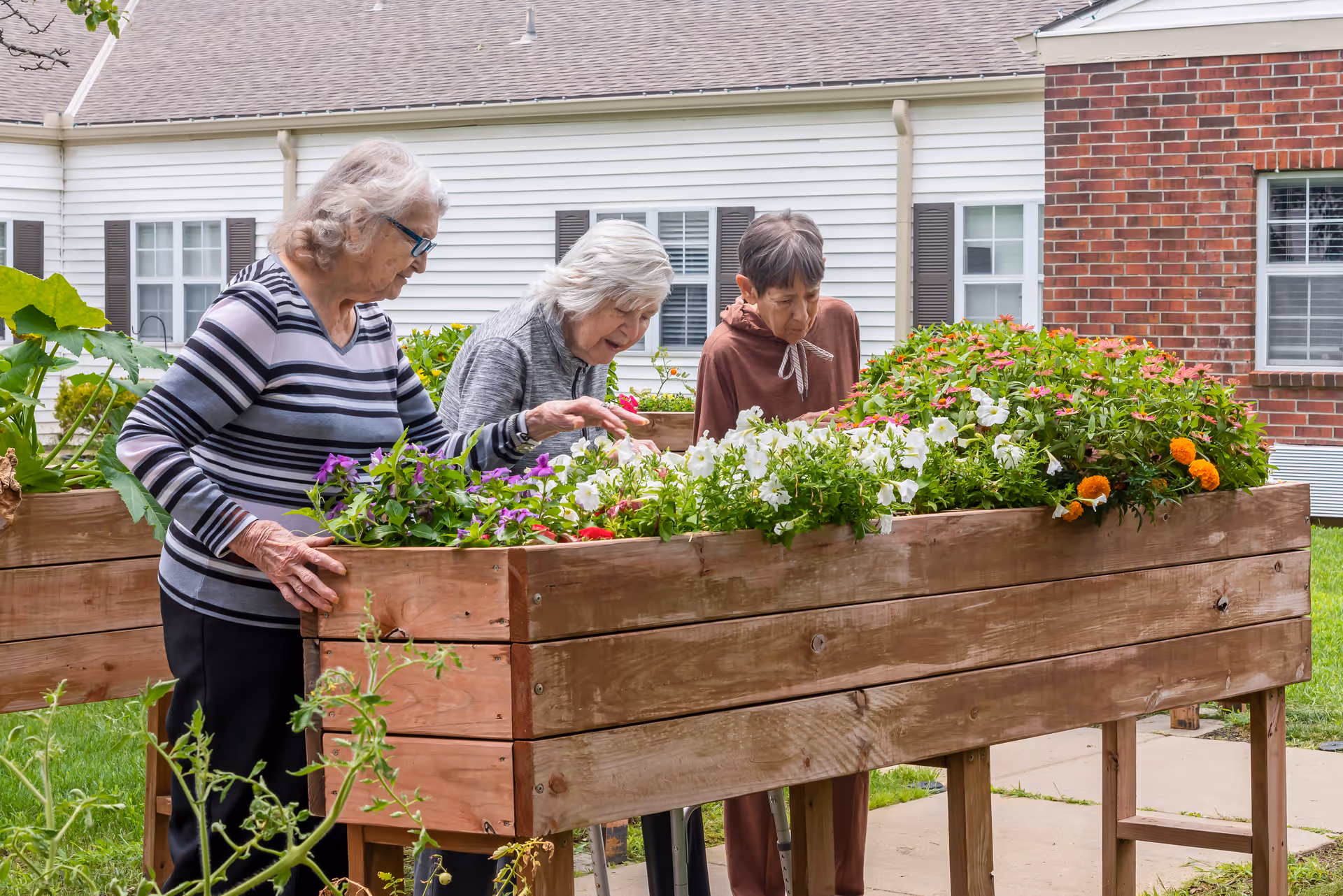 Three seniors examine blooming flowers in large wooden planters outside Stratford Commons memory care community.