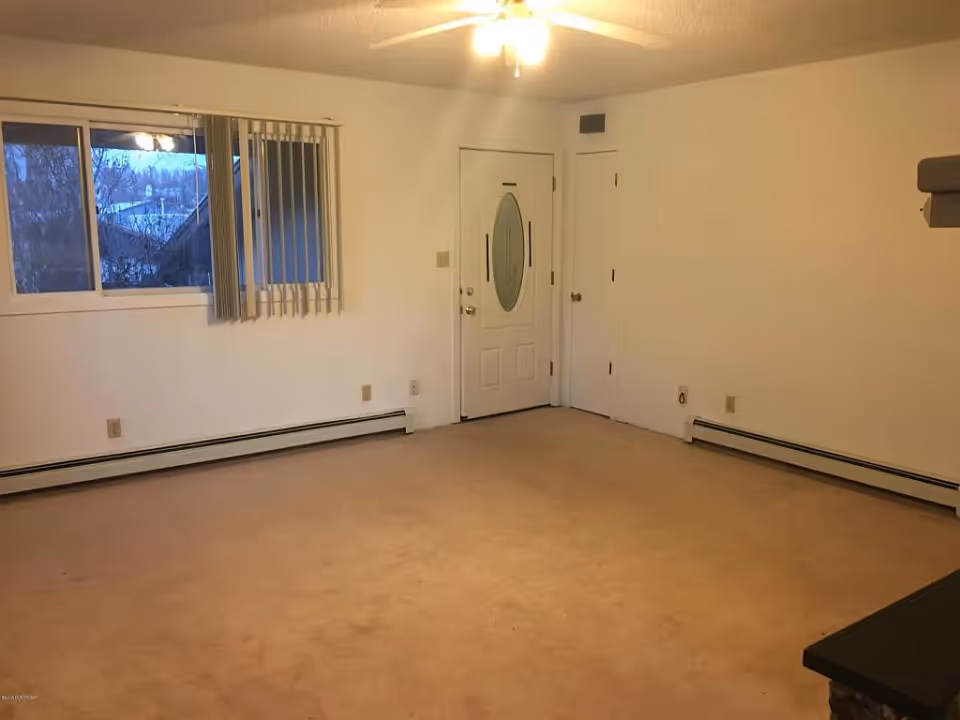 Empty living room with beige carpet, white walls, a front door with oval glass, a window with vertical blinds, and baseboard heaters.
