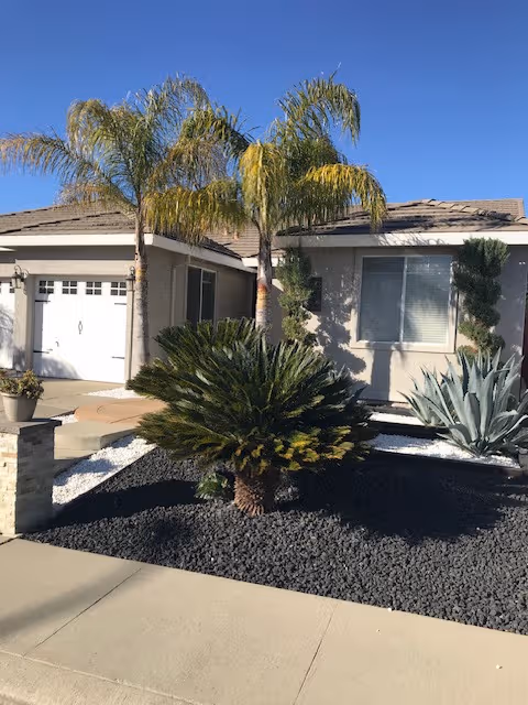 The front exterior of Floradale Villa Residential Care Home features palm trees.