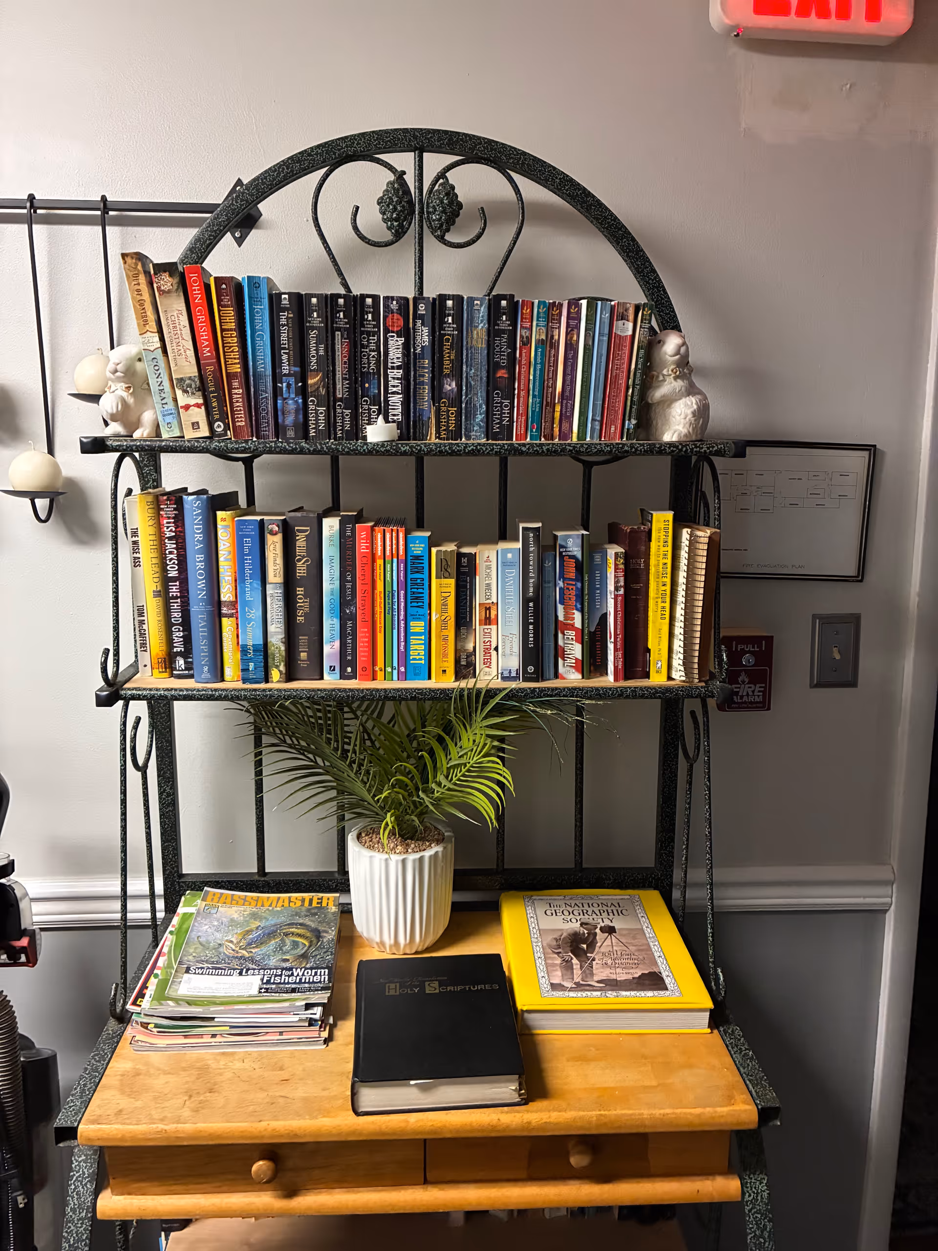 Metal-framed bookshelf with many colorful books, a potted plant, and magazines on a wooden desk.