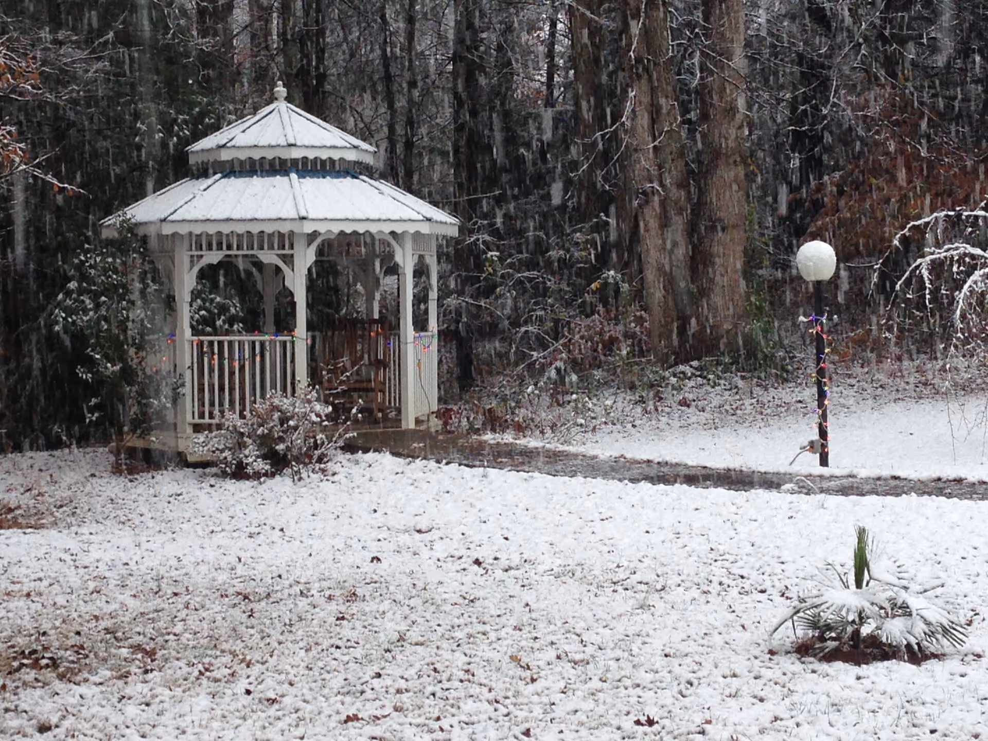 Snow-covered yard with a white gazebo and a lamppost decorated with string lights in front of a wooded backdrop.