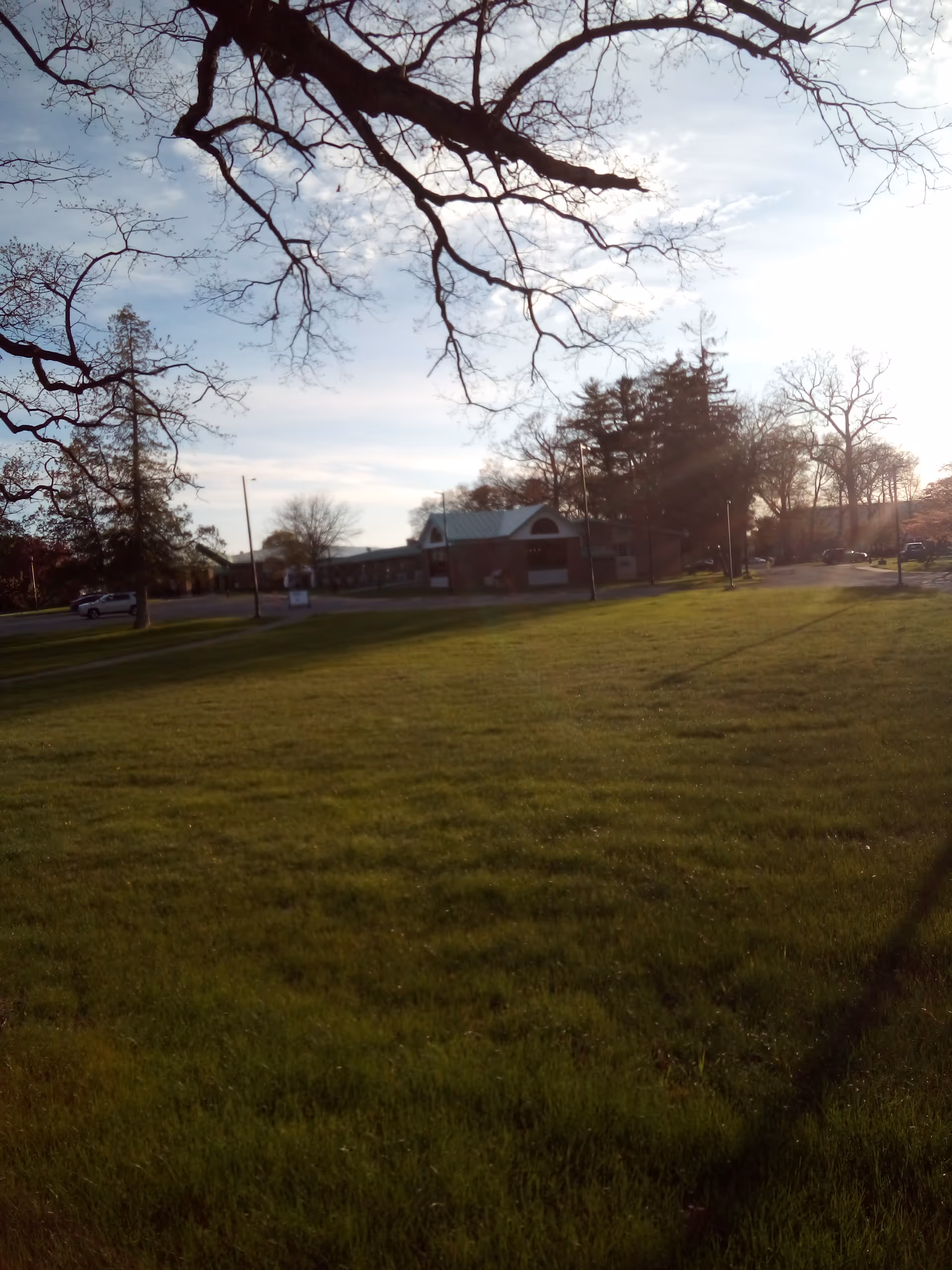 Sunlit lawn in foreground with a single-story building and bare trees.