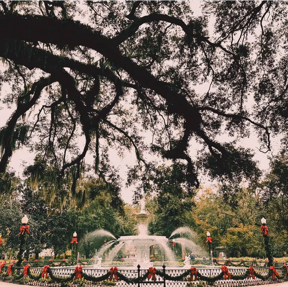 Outdoor park with a central fountain, red ribbons, and large overhanging tree branches.