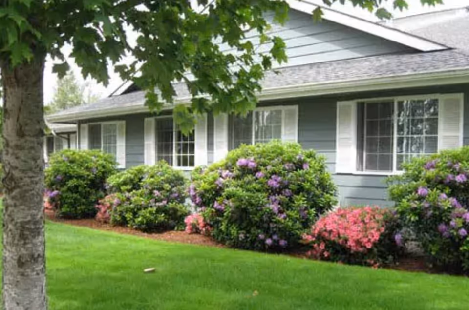 Front exterior of a single-story building with gray siding, white-trimmed windows, a green lawn and flowering shrubs.