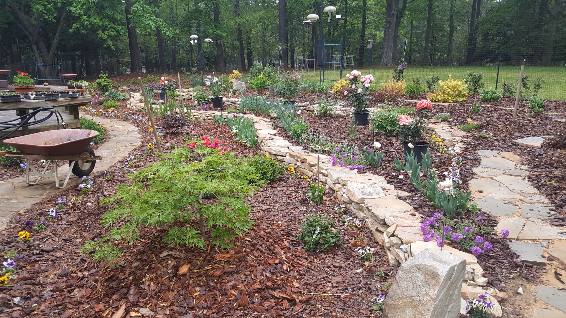 Landscaped outdoor garden with stone pathways, flower beds, mulch, and surrounding trees.