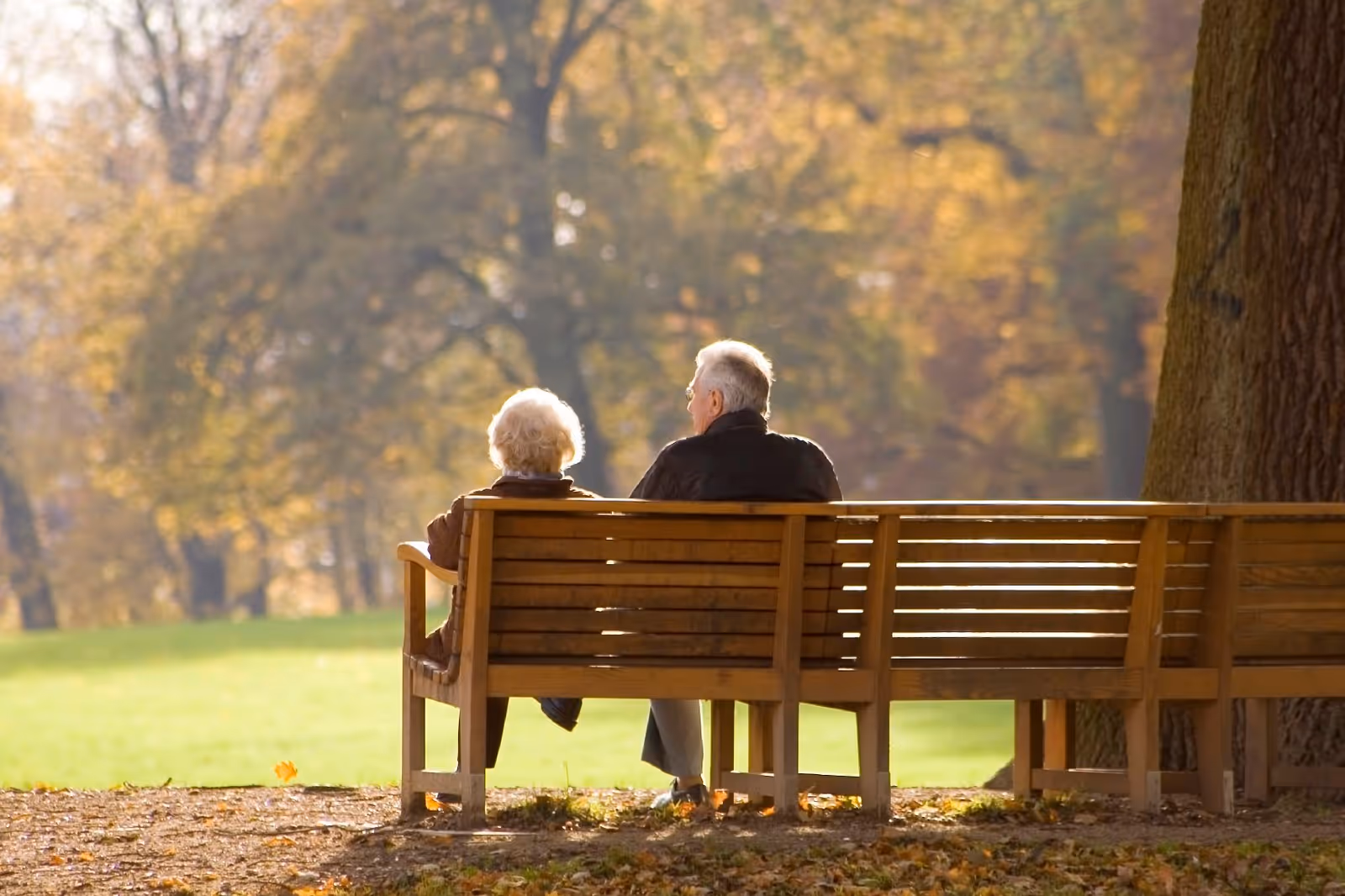 An elderly couple sitting on a wooden bench in a park during autumn, with trees and fallen leaves around them.