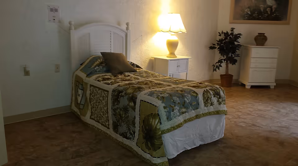 Cozy bedroom with a white-paneled headboard bed, quilt, nightstand, lamp, dresser, and potted plant.