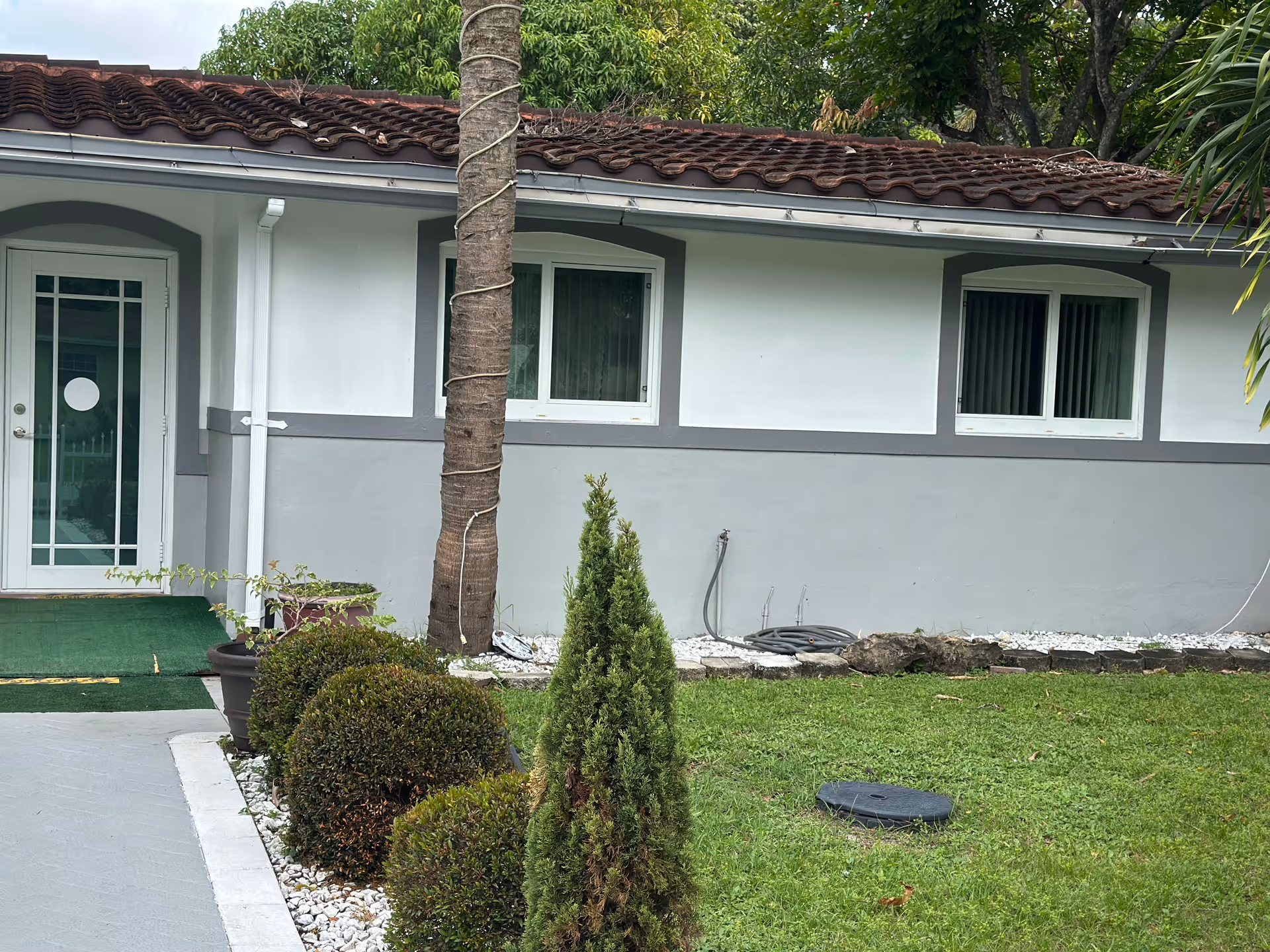 Exterior view of a single-story building with a tiled roof, two windows with white frames, a white door with glass panels, and a small landscaped garden with bushes, a palm tree, and grass in front.