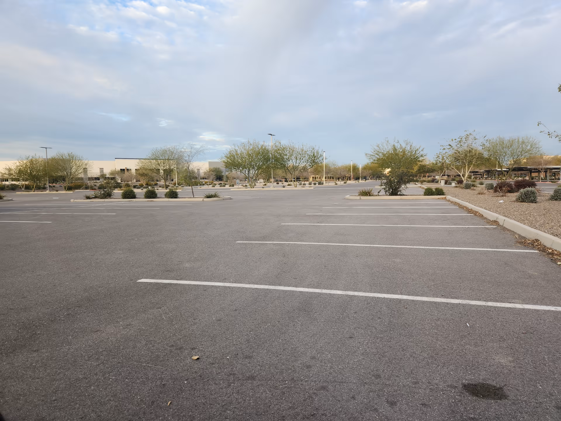 Expansive parking lot in front of a low-rise building with desert landscaping and trees.