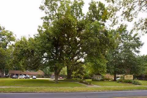 Lush green lawn, large trees, and a facility exterior by a street.