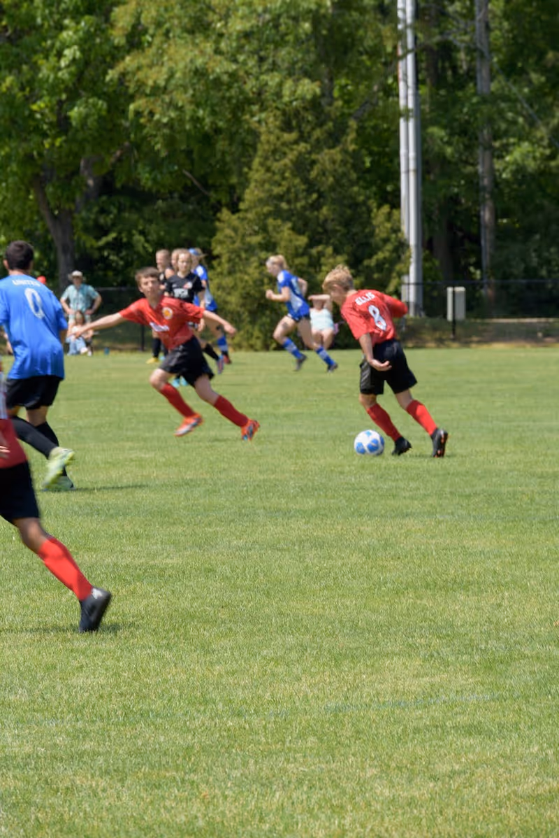Young players in red and blue uniforms chase a soccer ball across a sunny grassy field.