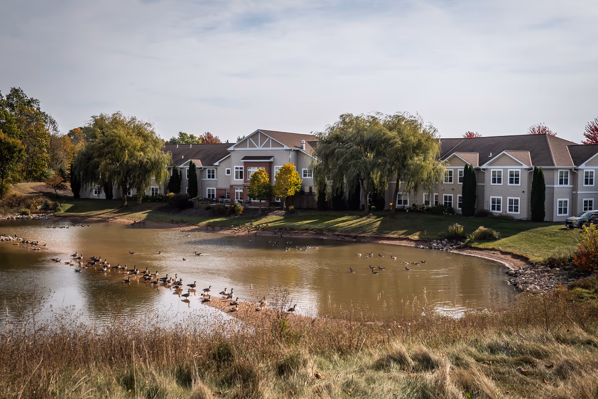 Exterior view of a senior living facility building beside a pond with willow trees and geese.
