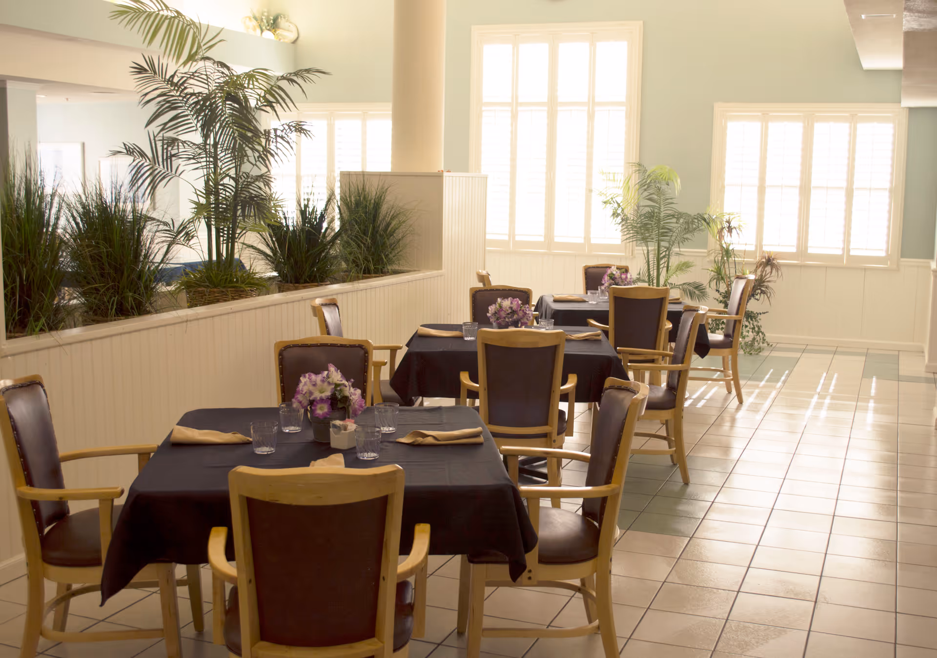 A bright dining area with several tables covered in black tablecloths, each set with glasses, napkins, and small floral centerpieces. Wooden chairs with dark cushions surround the tables. Large windows with white shutters allow natural light to fill the room, and there are several green plants placed along a half wall and near the windows.