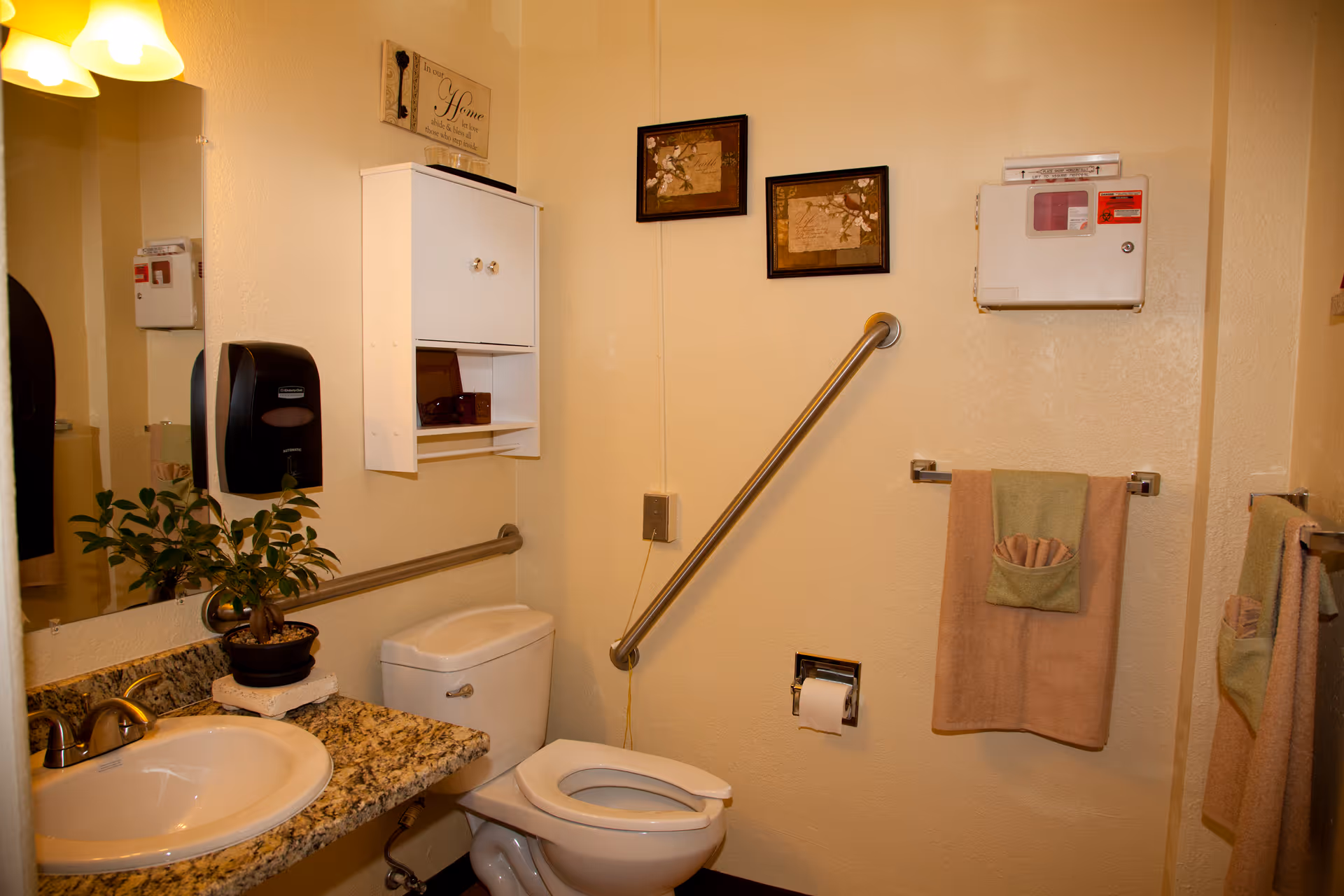A clean and well-lit bathroom with a white toilet, granite countertop with a sink, a small potted plant, and a wall-mounted white cabinet. There are two framed pictures on the wall, a grab bar next to the toilet, a towel rack with a beige and green towel, and a soap dispenser mounted on the wall near the mirror.