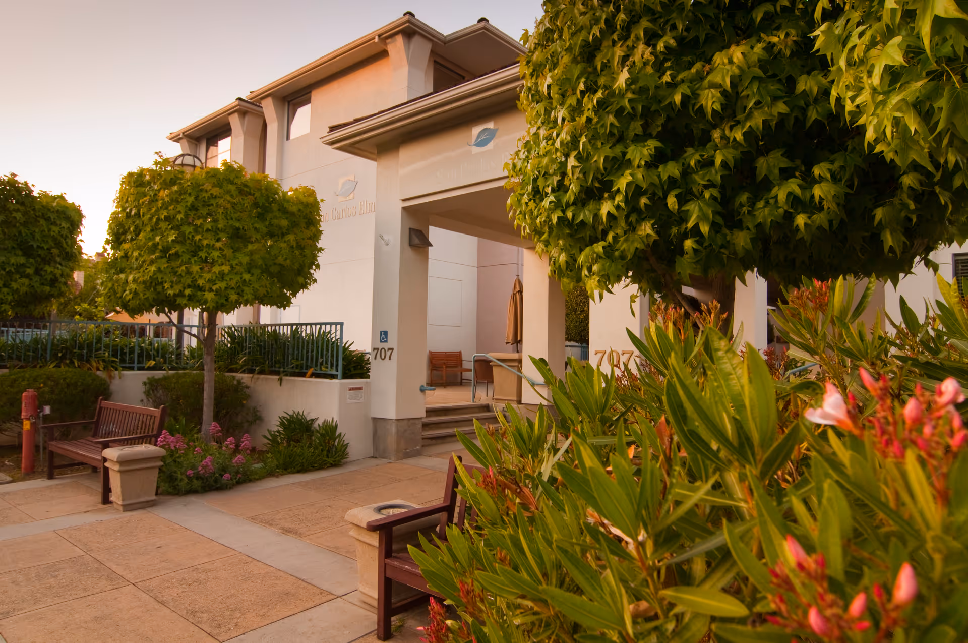 Front entrance of the San Carlos Elms building with a landscaped courtyard, benches, trees, and a walkway.