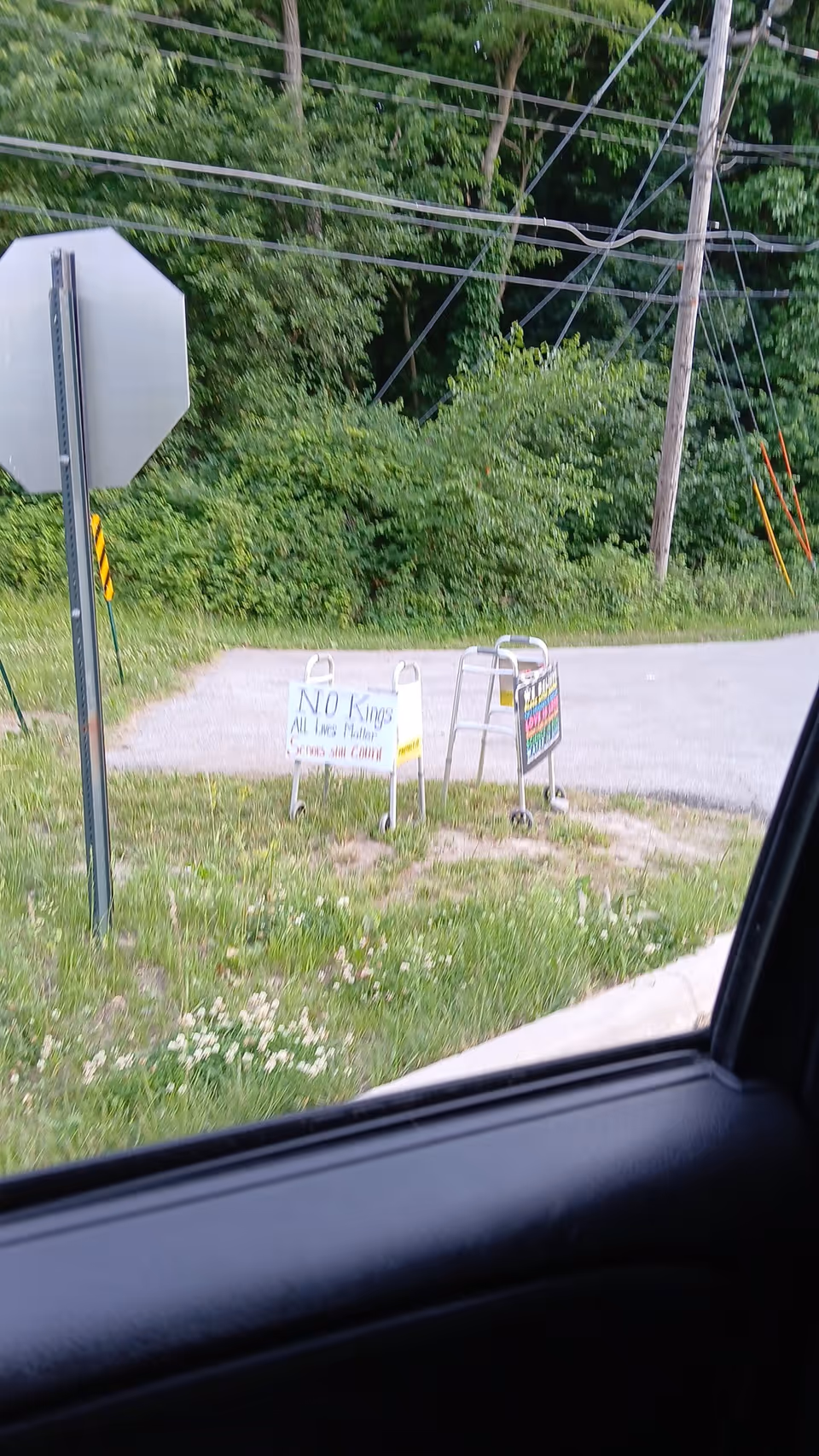 View of grassy roadside with signs, power lines, and a car window frame.