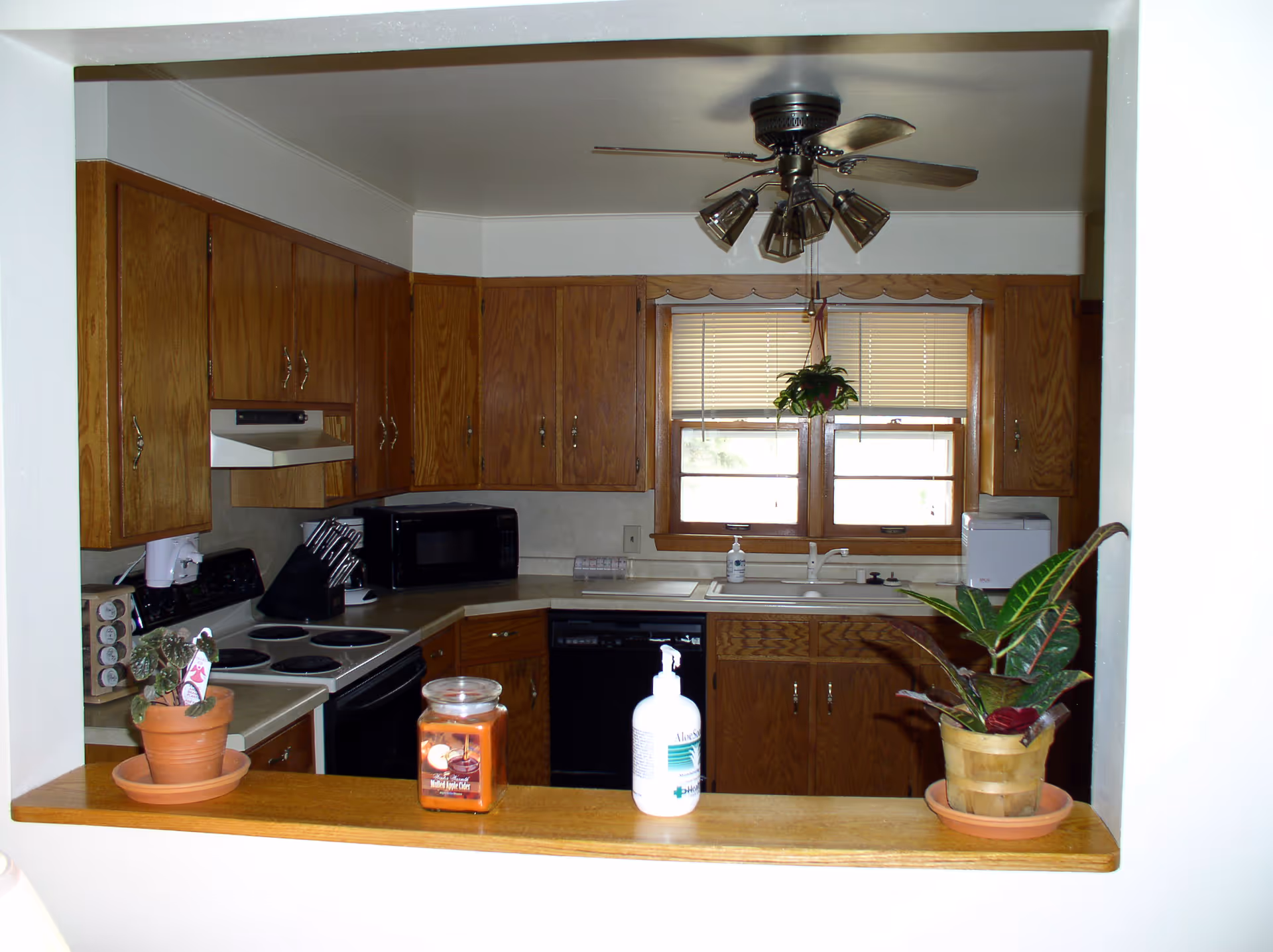A compact kitchen with wooden cabinets, stove, sink, window, and potted plants.