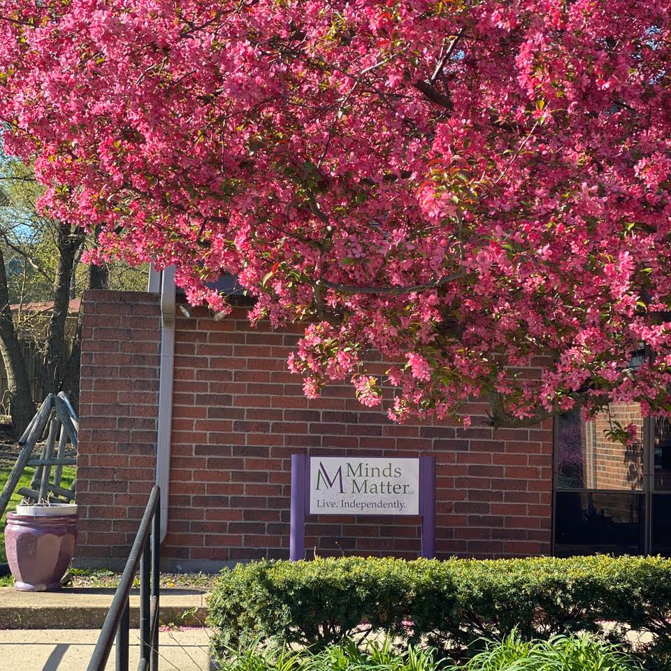 A brick building exterior with a purple Minds Matter sign under a blooming pink flowering tree.