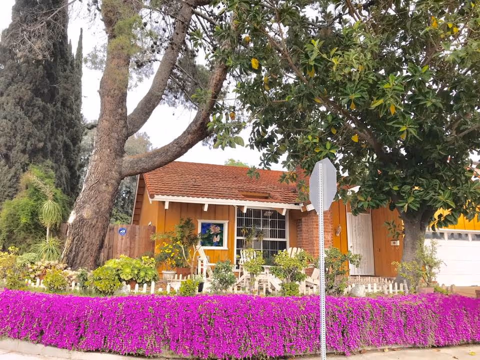 A charming single-story house with a red tiled roof and yellow exterior walls, surrounded by lush greenery and vibrant purple flowers along the front yard. There is a large tree on the right side and a stop sign in front of the house.