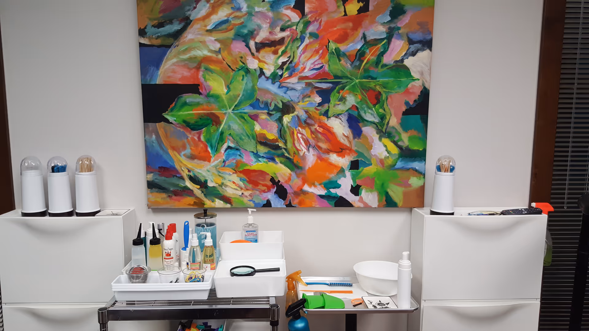 A tidy clinic counter with lice treatment products and a colorful abstract painting.