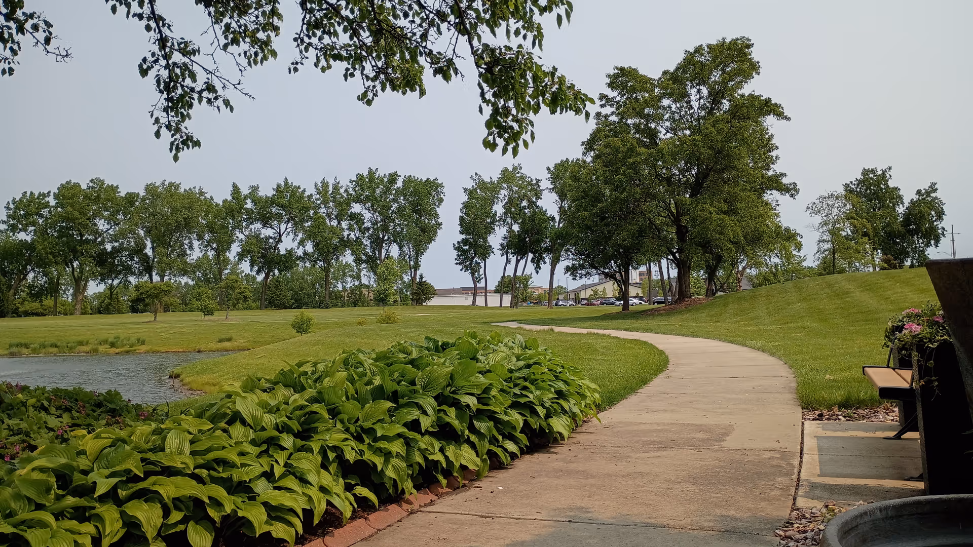 Curved concrete path through a landscaped outdoor area with trees and a small pond.