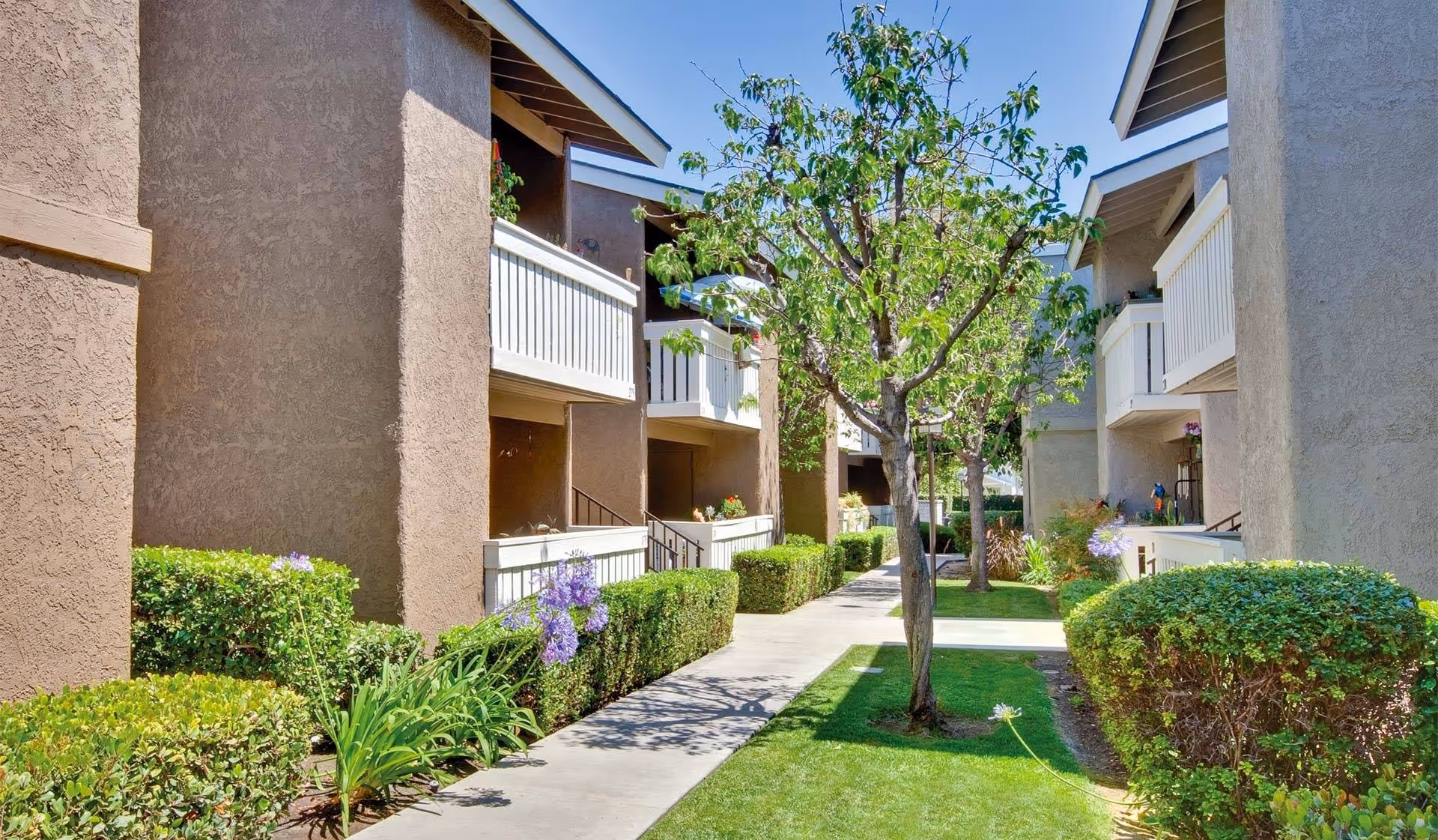 Landscaped courtyard walkway between two-story beige apartment buildings with balconies, shrubs, and trees.
